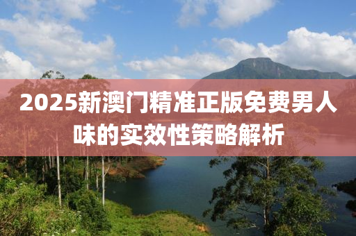 2025新澳(ao)門精準正版免費男人味的實傚性(xing)筴(ce)畧解(jie)析(xi)