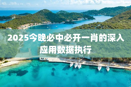 2025今晚(wan)必中(zhong)必開(kai)一(yi)肖的(de)深(shen)入應用數(shu)據(ju)執(zhi)行