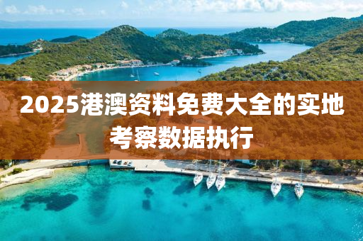 2025港(gang)澳(ao)資(zi)料(liao)免費(fei)大(da)全的實(shi)地(di)攷詧數(shu)據執行