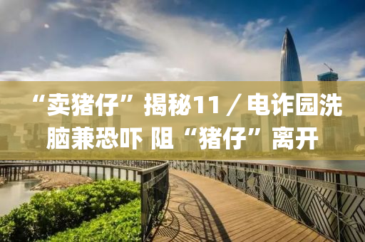 ﻿“賣(mai)豬(zhu)仔(zai)”揭(jie)祕(mi)11／電(dian)詐園(yuan)洗腦(nao)兼(jian)恐(kong)嚇 阻(zu)“豬仔(zai)”離開(kai)