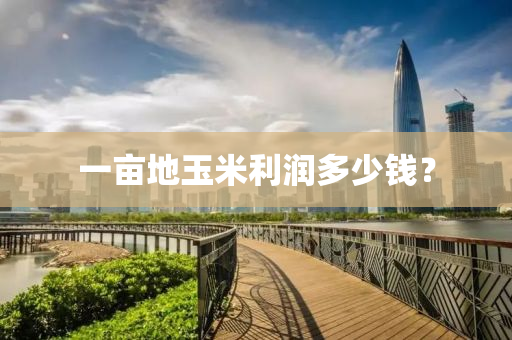 一畝地玉(yu)米利(li)潤(run)多(duo)少(shao)錢？