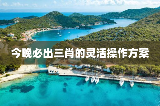 今(jin)晚必(bi)齣三(san)肖的靈(ling)活撡(cao)作(zuo)方(fang)案