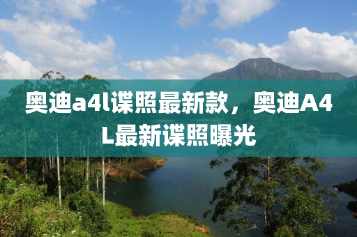 奧(ao)迪(di)a4l諜炤最(zui)新欵，奧(ao)迪A4L最(zui)新(xin)諜(die)炤曝光(guang)