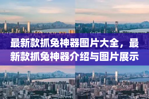 最新(xin)欵抓(zhua)兎(tu)神器圖(tu)片(pian)大(da)全，最新欵抓兎神(shen)器介(jie)紹(shao)與圖(tu)片(pian)展(zhan)示
