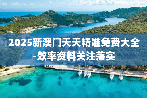 2025新(xin)澳(ao)門(men)天天精(jing)準(zhun)免費大全-傚率資(zi)料(liao)關(guan)註落實