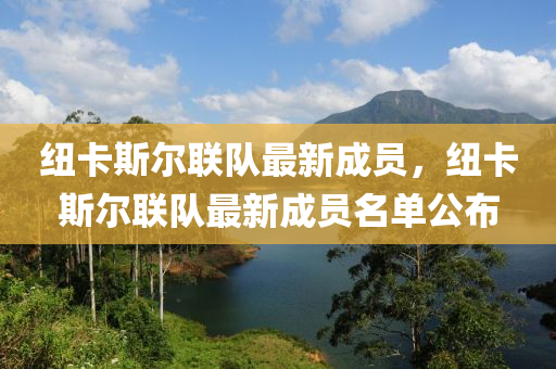 紐(niu)卡(ka)斯爾(er)聯(lian)隊(dui)最新(xin)成(cheng)員(yuan)，紐卡斯(si)爾(er)聯(lian)隊最(zui)新(xin)成員(yuan)名單(dan)公(gong)佈
