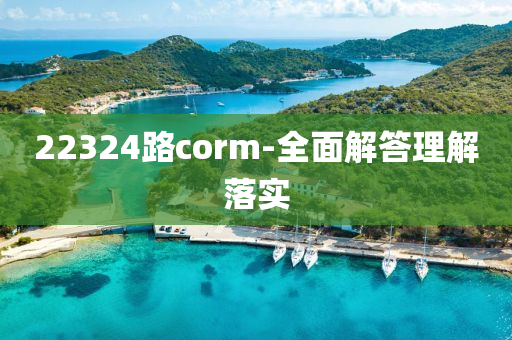 22324路corm-全(quan)麵解(jie)答理(li)解(jie)落實