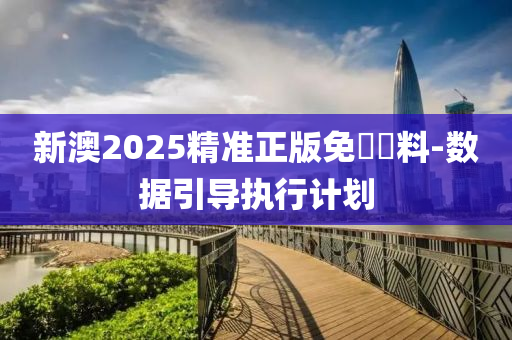 新澳2025精(jing)準正版(ban)免(mian)費資(zi)料(liao)-數據引導(dao)執(zhi)行(xing)計劃(hua)