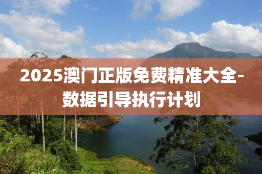 2025澳門(men)正版免費(fei)精準大全-數(shu)據(ju)引導執(zhi)行(xing)計(ji)劃(hua)