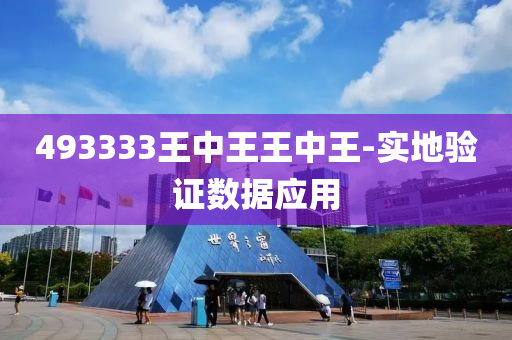 493333王中王(wang)王(wang)中(zhong)王-實(shi)地驗(yan)證(zheng)數(shu)據(ju)應(ying)用(yong)
