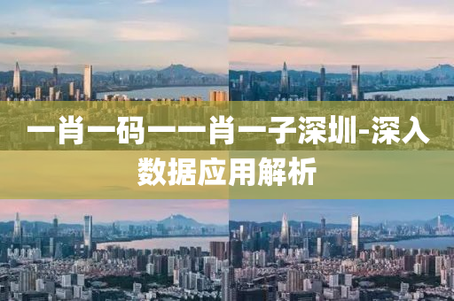 一(yi)肖(xiao)一碼一一(yi)肖一子(zi)深(shen)圳-深(shen)入(ru)數(shu)據應(ying)用解(jie)析(xi)