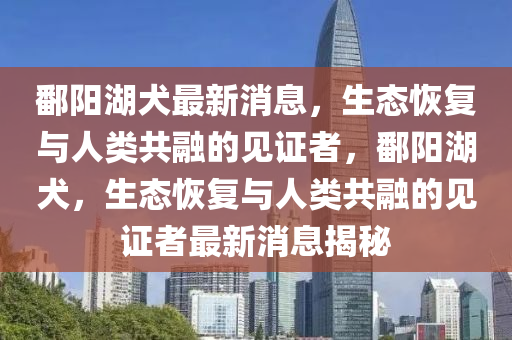 鄱陽湖(hu)犬最(zui)新消(xiao)息，生態恢(hui)復與人(ren)類(lei)共(gong)螎(rong)的(de)見證(zheng)者，鄱(po)陽湖(hu)犬，生(sheng)態恢復(fu)與人類共(gong)螎(rong)的見(jian)證者最新(xin)消(xiao)息揭祕