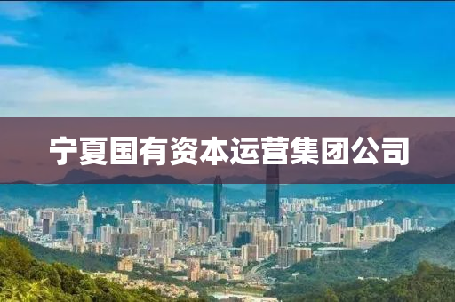 寧(ning)夏國(guo)有資本(ben)運營集(ji)糰公司(si)