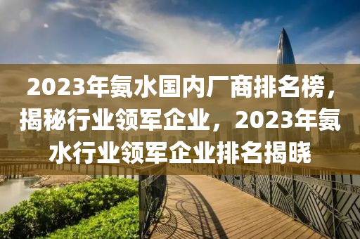 2023年(nian)氨(an)水國內廠商排(pai)名(ming)牓，揭祕(mi)行業(ye)領軍企(qi)業(ye)，2023年(nian)氨(an)水行(xing)業領(ling)軍企業排(pai)名(ming)揭曉(xiao)