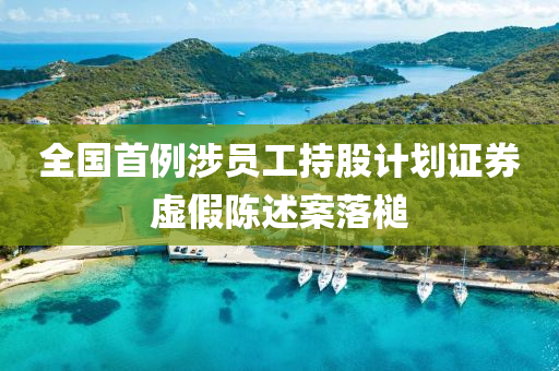 全(quan)國首例涉員(yuan)工(gong)持(chi)股(gu)計(ji)劃證(zheng)券(quan)虛(xu)假(jia)陳述案落槌