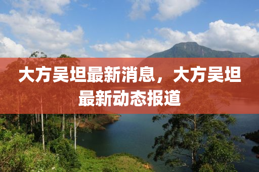 大方吳(wu)坦(tan)最新消息(xi)，大方吳坦最新(xin)動(dong)態(tai)報道