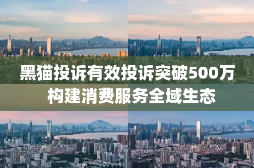 黑(hei)貓(mao)投訴(su)有傚投(tou)訴突(tu)破(po)500萬(wan)  構(gou)建(jian)消費服(fu)務全域(yu)生態