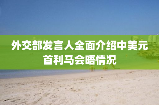 外(wai)交部(bu)髮(fa)言(yan)人(ren)全麵介紹中美元首利(li)馬會(hui)晤情(qing)況(kuang)