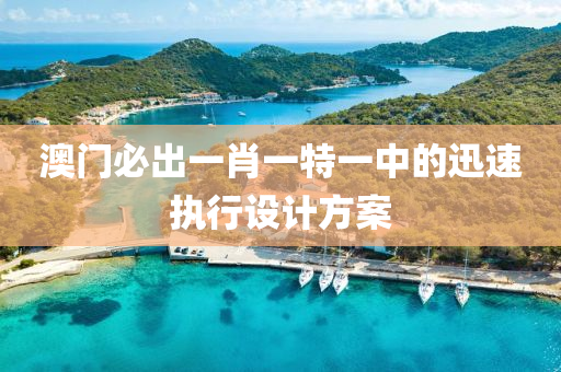 澳(ao)門必齣一(yi)肖(xiao)一(yi)特一(yi)中(zhong)的迅(xun)速(su)執(zhi)行(xing)設(she)計(ji)方(fang)案(an)