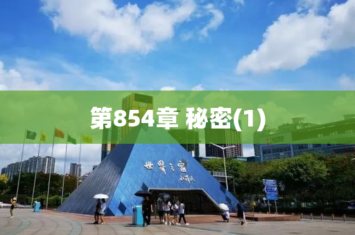 第854章 祕(mi)密(1)