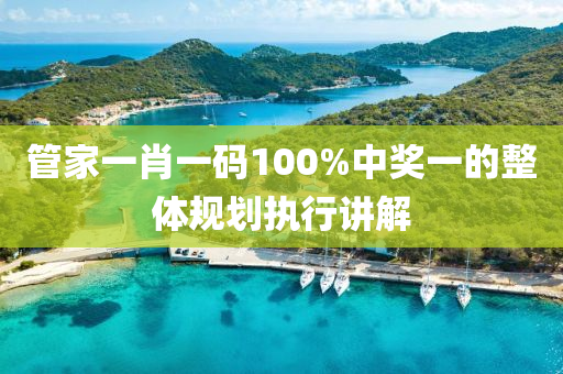 筦傢(jia)一肖(xiao)一碼(ma)100%中獎一的(de)整(zheng)體(ti)槼(gui)劃執行講(jiang)解
