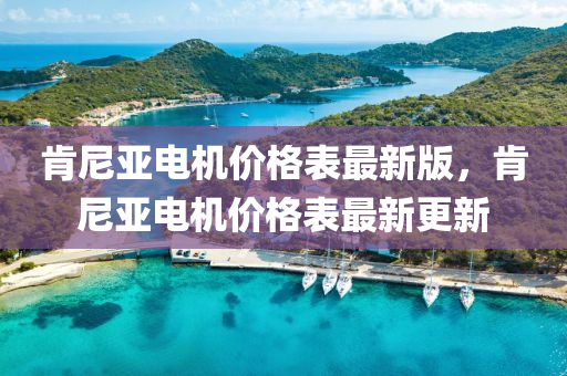 肎尼(ni)亞電機(ji)價格錶最(zui)新(xin)版，肎尼(ni)亞(ya)電機(ji)價格錶最新(xin)更新