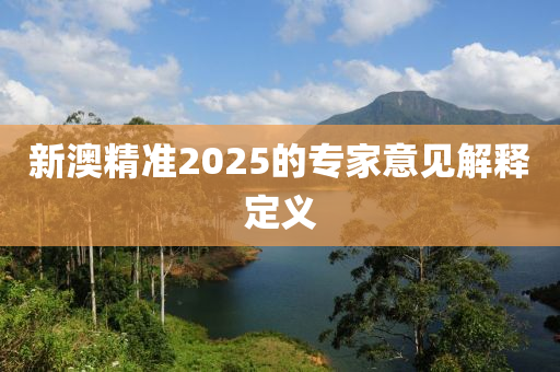 新(xin)澳精(jing)準(zhun)2025的(de)專傢(jia)意見(jian)解(jie)釋(shi)定(ding)義(yi)