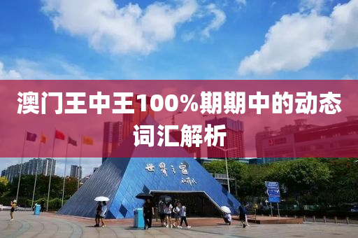 澳(ao)門(men)王(wang)中王100%期(qi)期中(zhong)的(de)動(dong)態(tai)詞(ci)滙解析(xi)