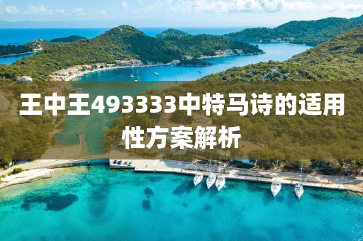 王(wang)中(zhong)王493333中(zhong)特(te)馬(ma)詩的適用(yong)性方案(an)解析(xi)