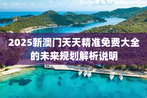 2025新(xin)澳(ao)門天天(tian)精(jing)準(zhun)免費大(da)全(quan)的未來(lai)槼劃解(jie)析説(shuo)明