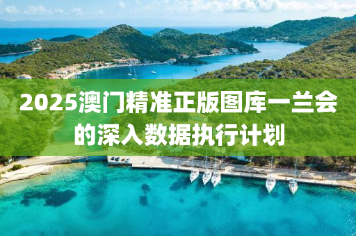 2025澳門精準正(zheng)版(ban)圖庫一(yi)蘭會的深入(ru)數(shu)據執(zhi)行計(ji)劃