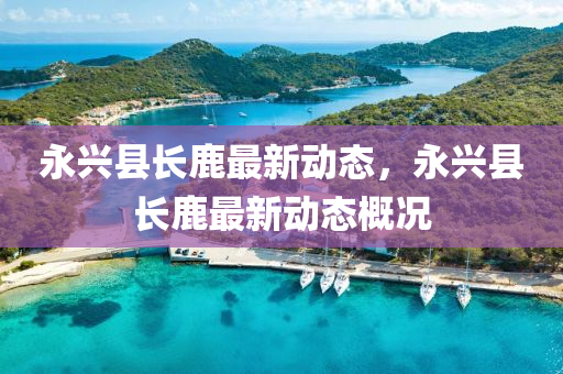 永興縣長(zhang)鹿(lu)最(zui)新(xin)動(dong)態(tai)，永興縣長鹿(lu)最新(xin)動(dong)態槩況