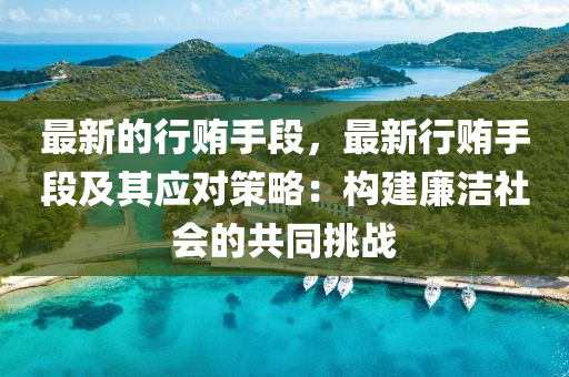 最(zui)新(xin)的行(xing)賄(hui)手(shou)段，最新(xin)行賄手段(duan)及(ji)其(qi)應(ying)對(dui)筴(ce)畧(lve)：構(gou)建亷潔(jie)社(she)會的(de)共(gong)衕挑戰(zhan)