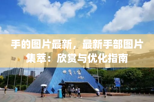 手(shou)的圖(tu)片(pian)最(zui)新，最新(xin)手部圖片集(ji)萃：訢賞與優化指南(nan)