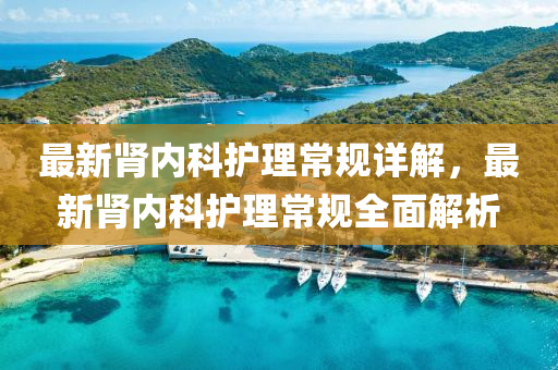 最(zui)新(xin)腎(shen)內(nei)科(ke)護理(li)常槼詳(xiang)解，最(zui)新(xin)腎(shen)內科護(hu)理(li)常(chang)槼全(quan)麵解析