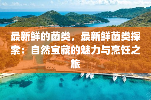 最新鮮的菌(jun)類，最(zui)新(xin)鮮(xian)菌類(lei)探索(suo)：自然(ran)寶藏的魅(mei)力(li)與(yu)烹飪之(zhi)旅(lv)