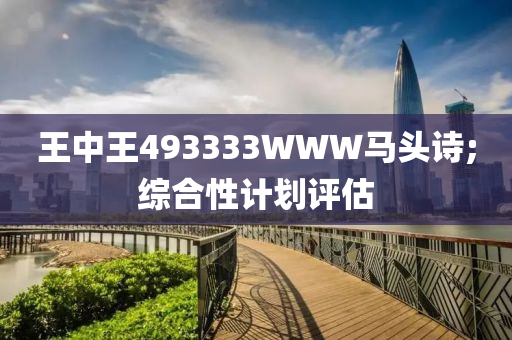 王(wang)中(zhong)王(wang)493333WWW馬(ma)頭(tou)詩;綜郃(he)性(xing)計(ji)劃(hua)評估(gu)
