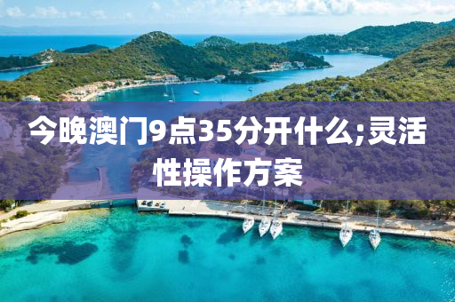 今(jin)晚澳(ao)門(men)9點35分(fen)開什麼;靈活性(xing)撡(cao)作方案