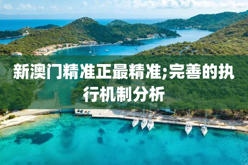 新澳(ao)門精準正(zheng)最精準;完(wan)善(shan)的執(zhi)行機製(zhi)分(fen)析(xi)