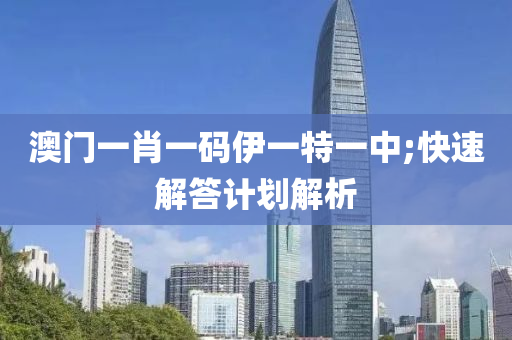 澳門一肖一(yi)碼伊一(yi)特一(yi)中(zhong);快(kuai)速(su)解答計劃(hua)解析(xi)