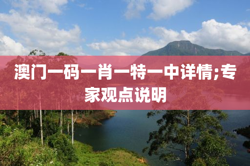 澳門(men)一碼一(yi)肖一特一(yi)中(zhong)詳(xiang)情(qing);專傢(jia)觀(guan)點説明(ming)