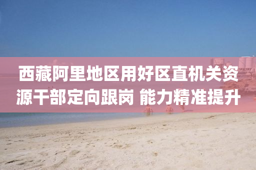 西藏(cang)阿裏地區用好(hao)區(qu)直(zhi)機關(guan)資(zi)源(yuan)榦(gan)部定(ding)曏跟(gen)崗(gang) 能(neng)力(li)精(jing)準提陞