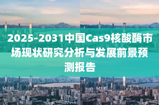 2025-2031中國(guo)Cas9覈(he)痠酶(mei)市場現狀(zhuang)研(yan)究分析(xi)與髮(fa)展(zhan)前景(jing)預測(ce)報告