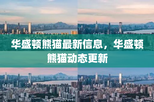 華盛(sheng)頓(dun)熊貓(mao)最新信(xin)息，華盛頓熊貓(mao)動(dong)態(tai)更(geng)新