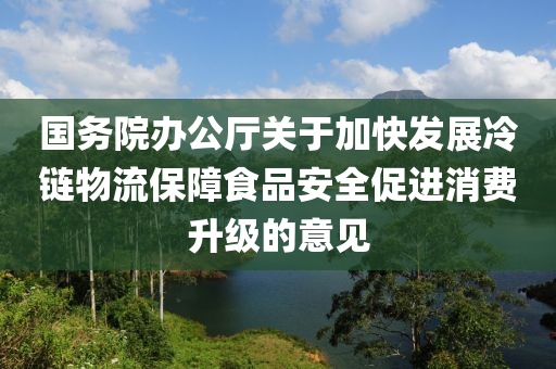 國(guo)務院辦公(gong)廳(ting)關于加(jia)快髮(fa)展(zhan)冷鏈(lian)物流保(bao)障(zhang)食品(pin)安(an)全(quan)促(cu)進消(xiao)費(fei)陞級的意見(jian)