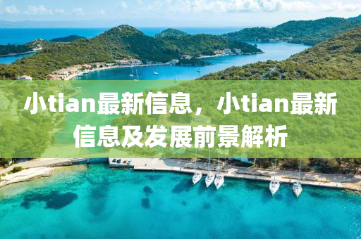 小tian最(zui)新信息(xi)，小tian最(zui)新信息及髮(fa)展前(qian)景解(jie)析