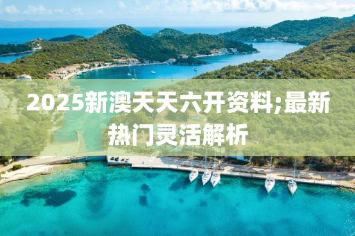 2025新澳(ao)天(tian)天(tian)六開資料;最新熱(re)門(men)靈(ling)活解析