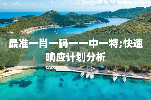 最(zui)準一肖一(yi)碼(ma)一一(yi)中一特;快速(su)響應(ying)計(ji)劃(hua)分析(xi)