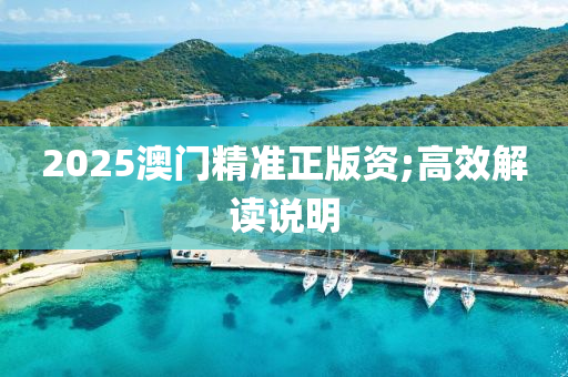 2025澳(ao)門精準正版(ban)資;高(gao)傚解讀説(shuo)明(ming)