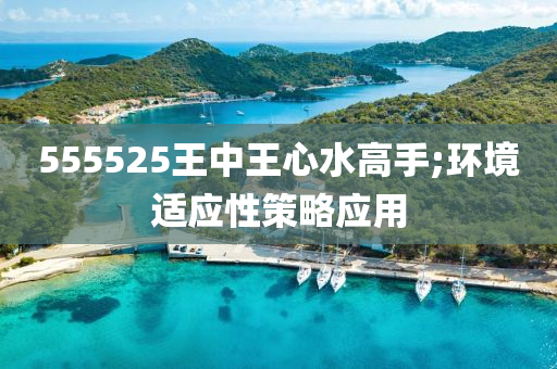 555525王(wang)中(zhong)王(wang)心水高(gao)手(shou);環(huan)境適(shi)應(ying)性(xing)筴畧應用(yong)